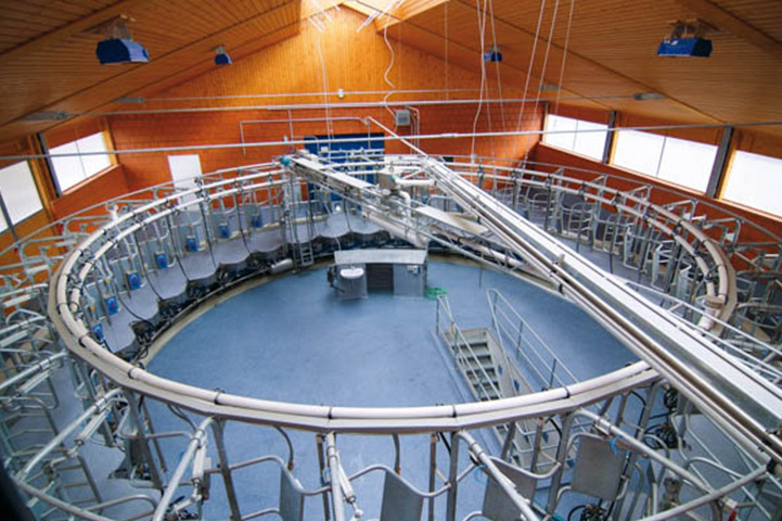 Agriculture and Animal Husbandry