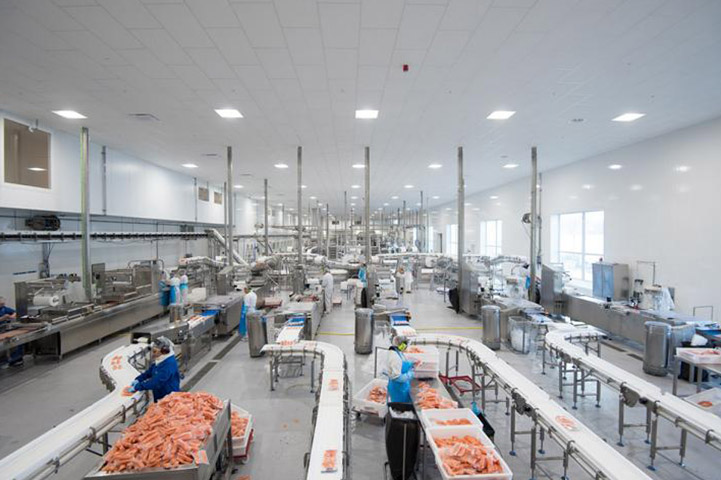 Fish and Seafood Industry