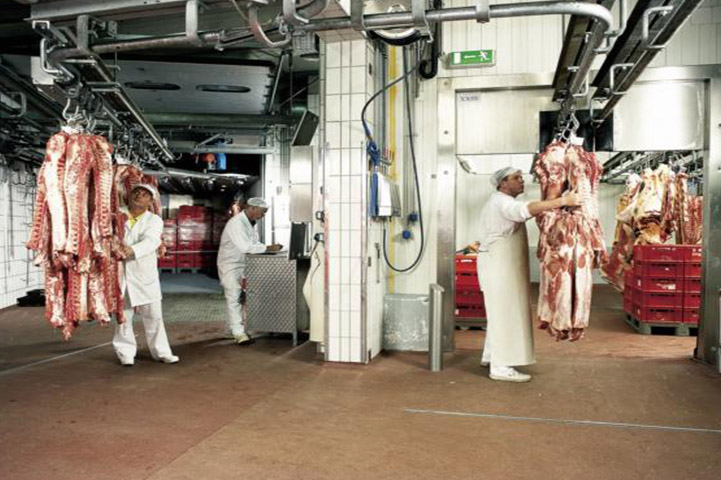 Meat Industry